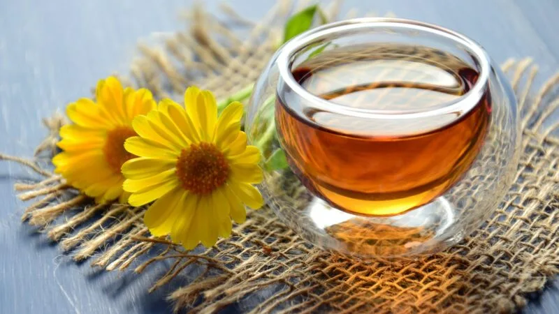 El té: fuente natural de cafeína y antioxidantes
