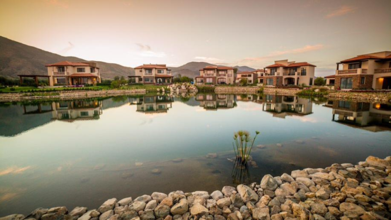 El Cielo Valle de Guadalupe Celebra la Vendimia 2024 